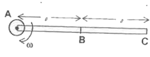 A rod ABC shown in the figure is made up of two parts . The part AB is non - conducting while the part BC is conducting . The rod rotates with constant angular speed omega about an axis perpendicular to its length and passing through the end A. The axis carries a constant current I. The emf iduced across the ends A and C is