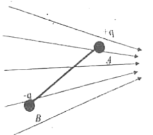Two connected charges of +q and -q respectively are at a fixed distance AB apart in a non uniform electric field whose lines of force are shown in the figure   The resultant effect on the two charges is