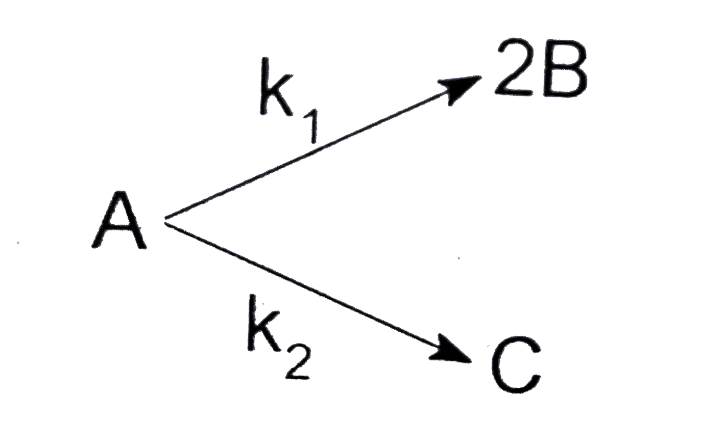 For the following elementary first order reaction:      If k(2)=2k(1), then % of B in overall product is: