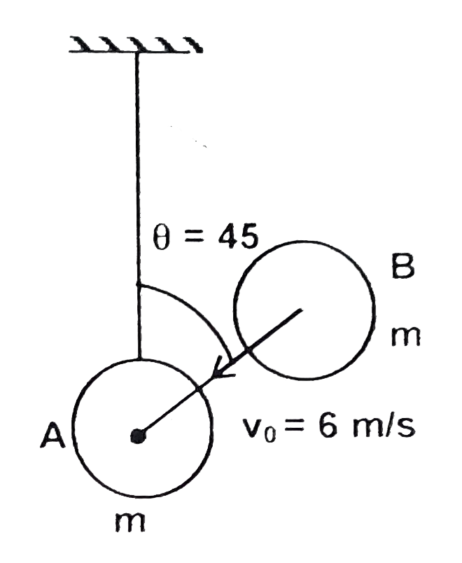 A ball of mass m is attached to the lower end of  a vertical string whose upper end is fixed. An identcial ball 'B' moving with a velocity v(0) = 6 m//s at an angle theta = 45^(@) from vertical collides elastically with the ball 'A' as shown.    The verocity of the ball 'B' just after collision is