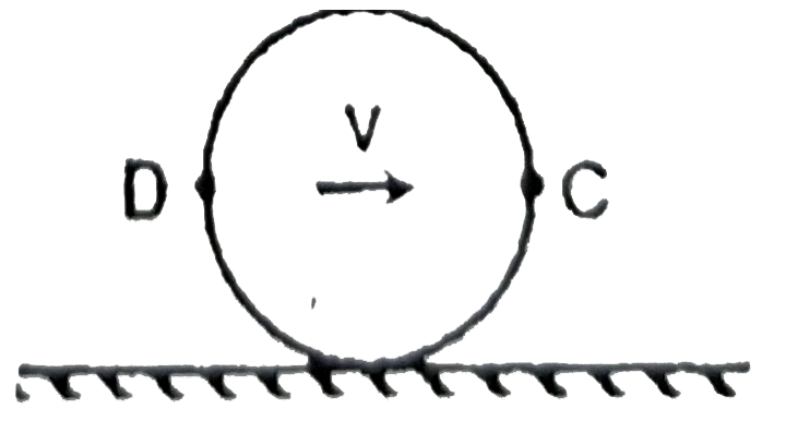 If there is a moth sitting at point C of rolling sphere, where velocity of the centre of mass =v, calculate the velocity of the moth as seen by an oberver sitting at point D at this instant