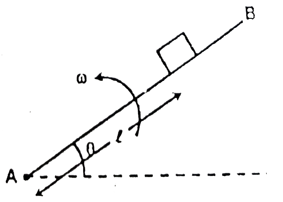 A plank is rotating in a vertical plane about one of its ends with a constant angular velocity omega=sqrt(2)rad//s. A block of mass m=2kg is placed at a distance l=1m from its end A (see figure) which is hinged. The block starts sliding down when the plank makes an angle theta=30^(@) with the horizontal. If coefficient of friction between the plank and the block is mu and given that mu^(2)=k//25. Find the value of k.