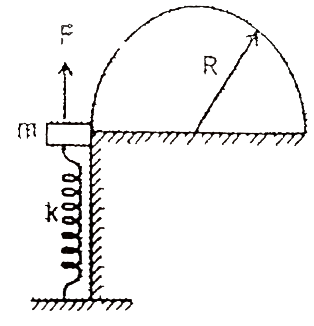 In the figure shown a semi-cylinder of radius, R is rigidly fixed on a horizontal table of height l(0) from the ground such that there is a common edge of the table and semi-cylinder. A block of mss m is attached rigidly to a light spring of stiffnes k, whose other end is rigidly attached to the ground. The natural length of the spring is l(0). A force of constant magnitude F is applied on the block to move it on the frictionless surface of the semi-cylinder in a vertical plane such that the path followed by the block is a semicircle of radius R.   The force F is always tangential to the cylinder. Find the contact force between the cylinder and the block as a function of theta, Initial speed of the block is zero and initial length of the spring is l(0).0 is the angular displacement of the block w.r.t. the centre of the circular path as shown in the figure.
