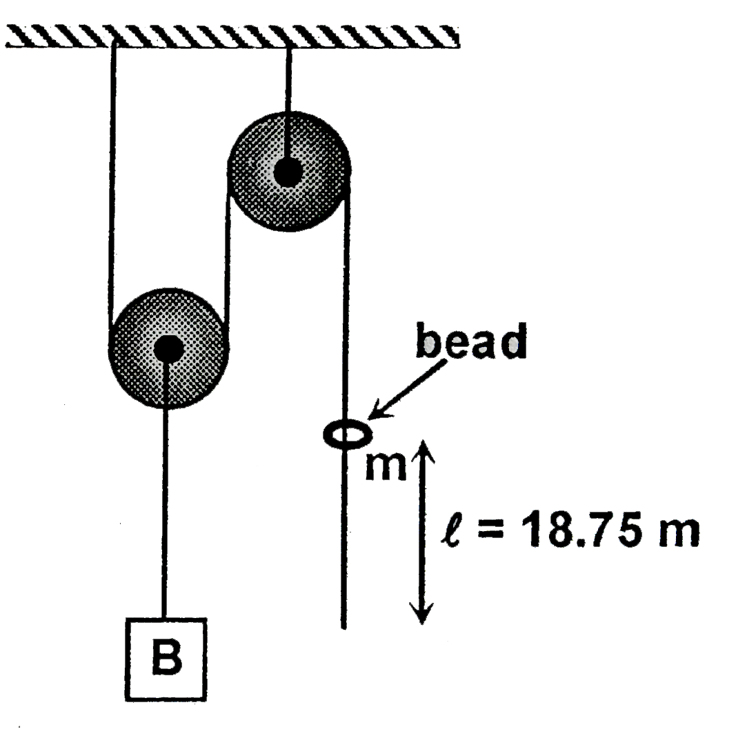 In the system shown in the figure , a bead of mass m can slide on the string. There is friction beween the bead and the string. Block B has mass equal to twice that of the bead. The system is released from rest with lenth l=18.75m of the string hanging below the bead. Assuming the pulley and string to be massless. Find the distance (in meter) moved by the block B before the bead slips out of the thread.