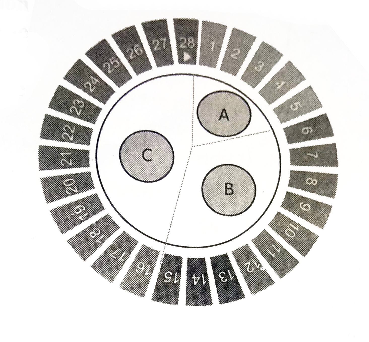 The given figure shows the schematic representation of menstrual cycle in human female. What does the alphabets A,B,C indicates with regard to the cycle?