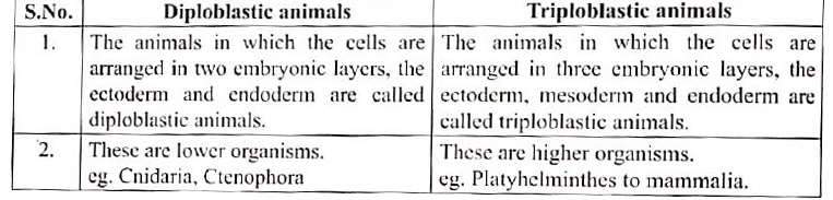 Distinguish between Diploblastic animals and triploblastic animals.
