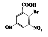 Write IUPAC names of the following:    (i) HOOC-CH2-underset(CH2)underset(|)C=CHCOOH
