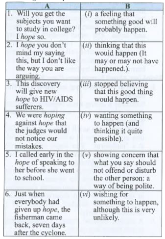 Match the sentences in Column A with the meanings of 'hope' in Column B.