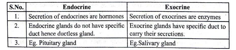 Write The Differences Between Endocrine And Exocrine Gland