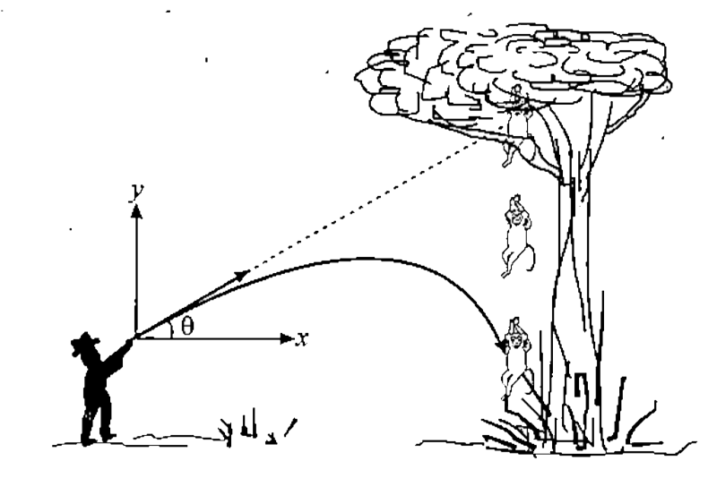 Look at the situation shown in figure-1.99. A fire man fires his shot aiming to a monkey, who fall sat the time of shot. So the shot has passed the highest point of it strajectory and is descending when it hits the monkey, which is still in air. At the instant, the shot was at the highest point of its trajectory,was them on key's height above the ground the same, lower, or higher than that of the shot. Explain your answer.