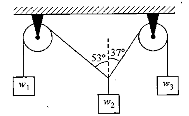 Three equal masses are suspended from frictionless pulleys as shown in figure-2.46. If the weight w(2) in figure is 400 N, what must be the values of the weights w(1) and w3).       [240 N, 320 N]