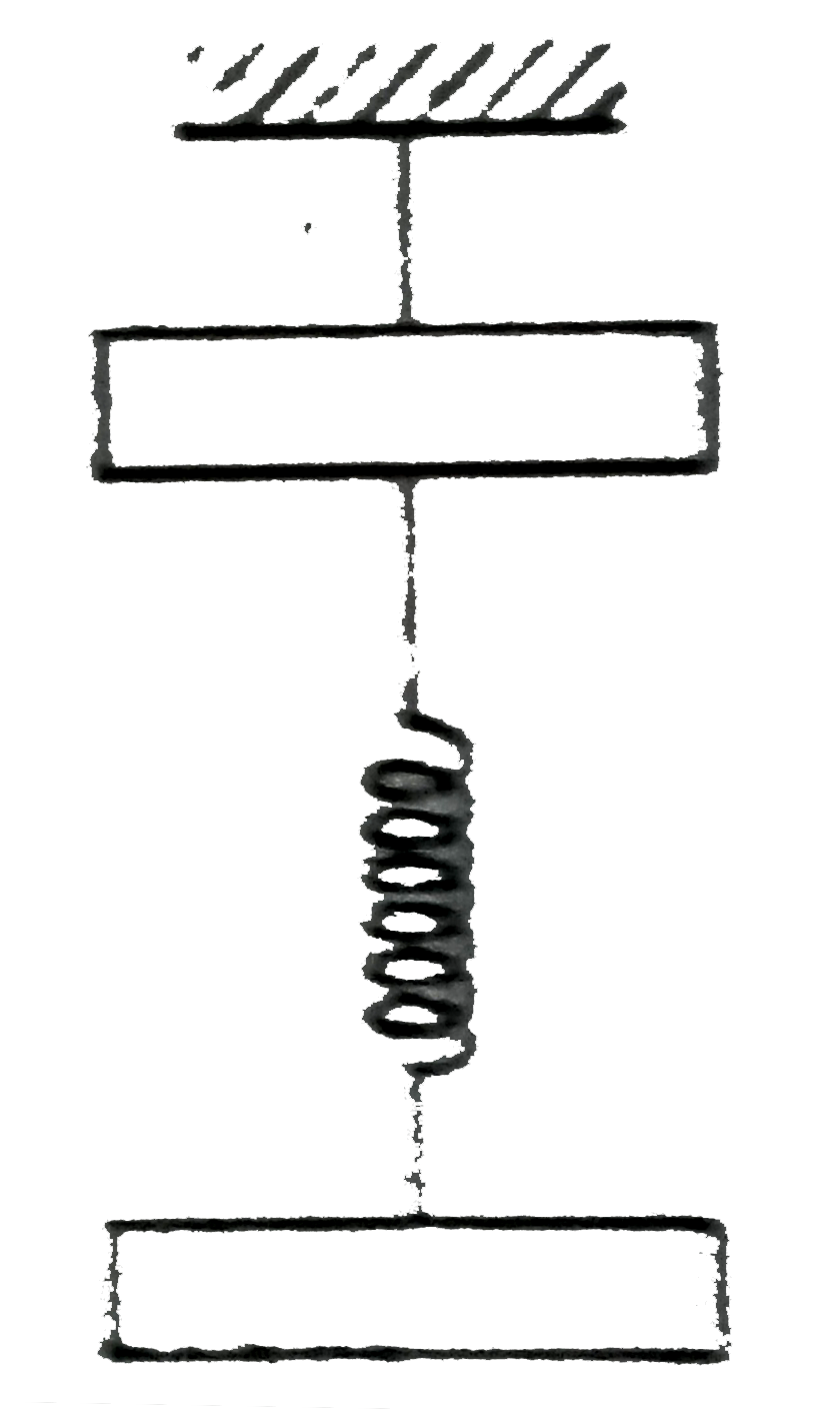 Two identical blocks are connected by a light spring. The combination is suspended at rest from a string attached to the ceiling, as shown in the figure-2.190 below. The string breaks suddenly. Immediately after the string breaks: