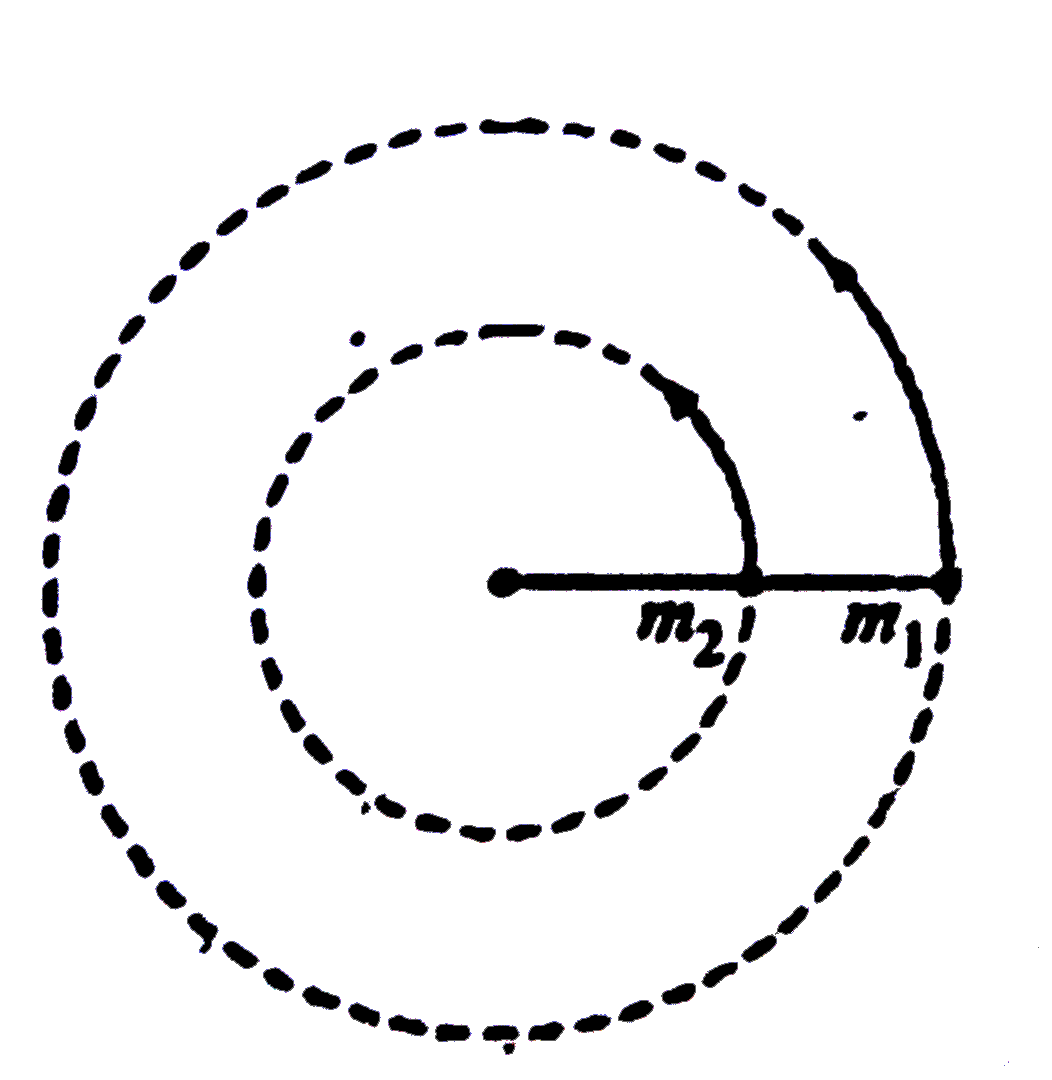 A particle of mass m(1) is fastened to one end of a string and one of m(2) to the middle point, the other end of the string being fastened to a fixed point on a smooth horizontal table The particles are then projected, so that the two portions of the string are always in the same straight line and describes horizontal circles find the ratio of tensions in the two parts of the string