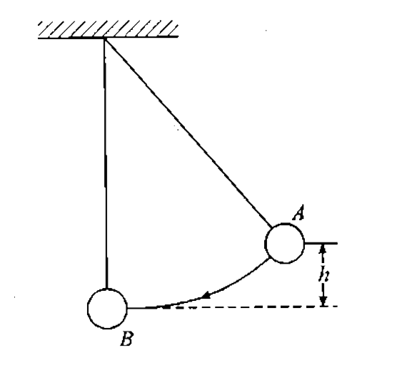The bob A of a pendulum released from a height h hits head-on another bob B of the same mass of an identical pendulum initially at rest. What is the result of this collision? Assume the collisio to be elastic (see figure).