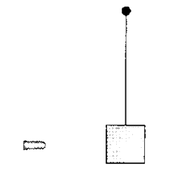 A wooden block (mass M) is hung from a peg by a massless string .A speeding bullet (with mass m and initial speedv(0)) collides with block at time t=0 and embeds in it. Let S be the system consisting of the block and bullet. Which quantities are NOT conserved between t=-10 sec t=+10 sec?