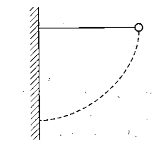 A simple pendulum is supended from a peg on a verticl wall. The pendulum is pulled away from the wall to a horizontal position and releases as shown in figure -4.152. The ball hits the wall, the coefficient of restitution being 2//sqrt2. What is the minimum number of collisions after which the amplitude of oscillation becomes less than 60^(@)