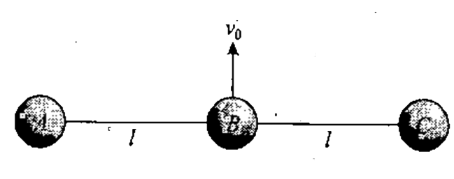 Three identical balls eah of mass m=0.5 kg are connected with each other as shown in figure and rest over a smooth horizontal table At moment t=0, ball B is imparted a horizontal velocity v(0)=9ms^(-1) calculate velocity of A just before it collides with ball C.