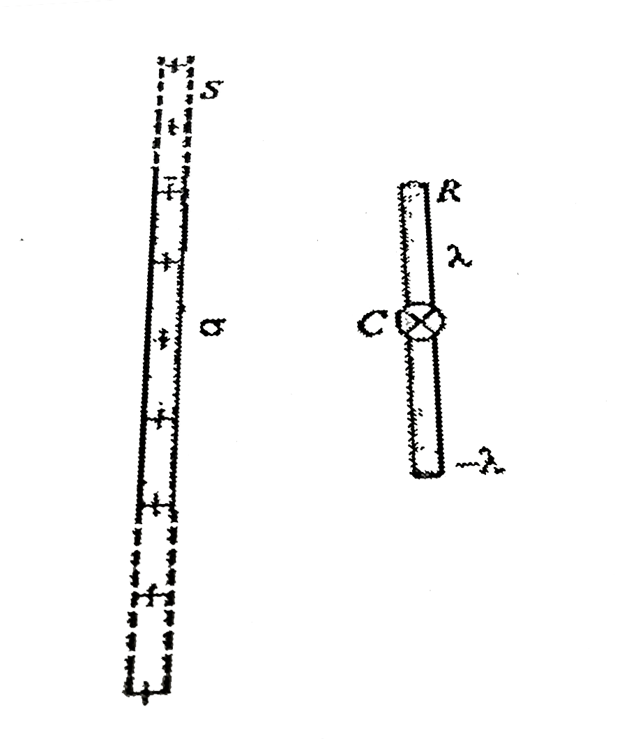 In the figure shown S is a large nonconducting sheet of uniform charge density sigma. A rod R of length l and mass 'm' is parallel to the sheet and hinged at its point. The linear charge densities on the upper and lower half of the rod are shown in the figure. Find the angular acceleration of the rod just  after it is released   [(3sigmalambda)/(2m in(0))]