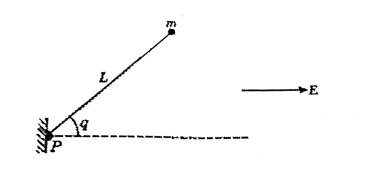 A particle of mass m and charge q is attached to a light rod oflength L. The rod cau rotate freely in the plane of paper about the other end, which is hinged at P, the.entire assembly lies in an uniform electric field E acting in the plane of paper ·as shown in the figure-. The rod is released from rest when it makes an angle 9 with the electric field direction. Determine the speed oft he particle when the rod becomes parallel to the electric field: