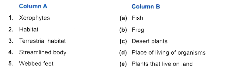 Match the items in column A with those in Column B :