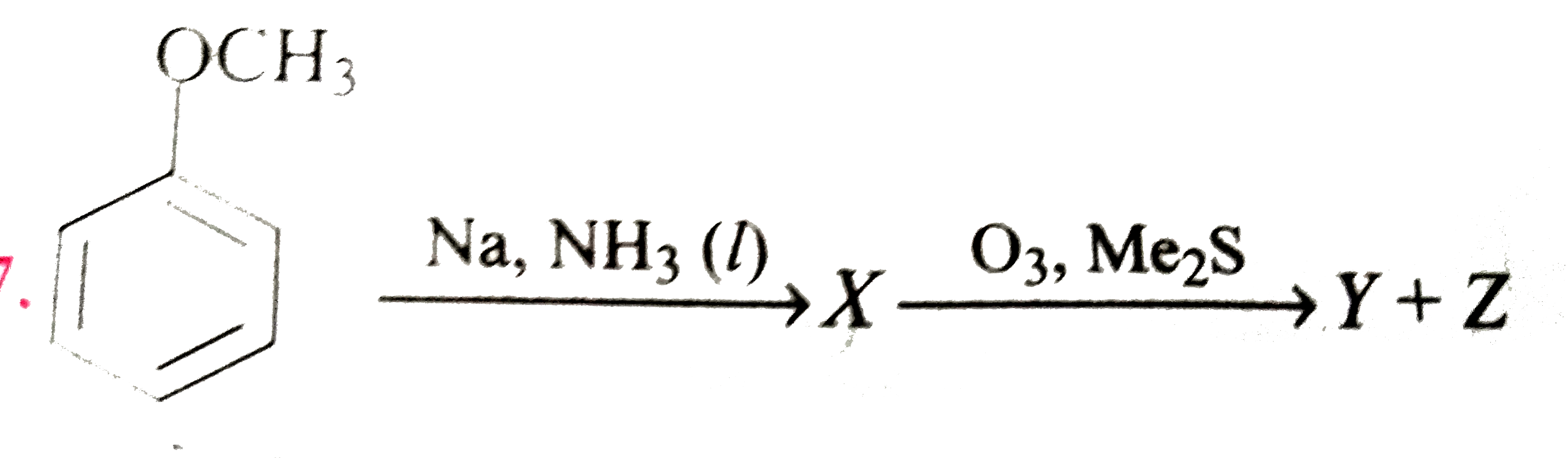 Identify products Y and Z.