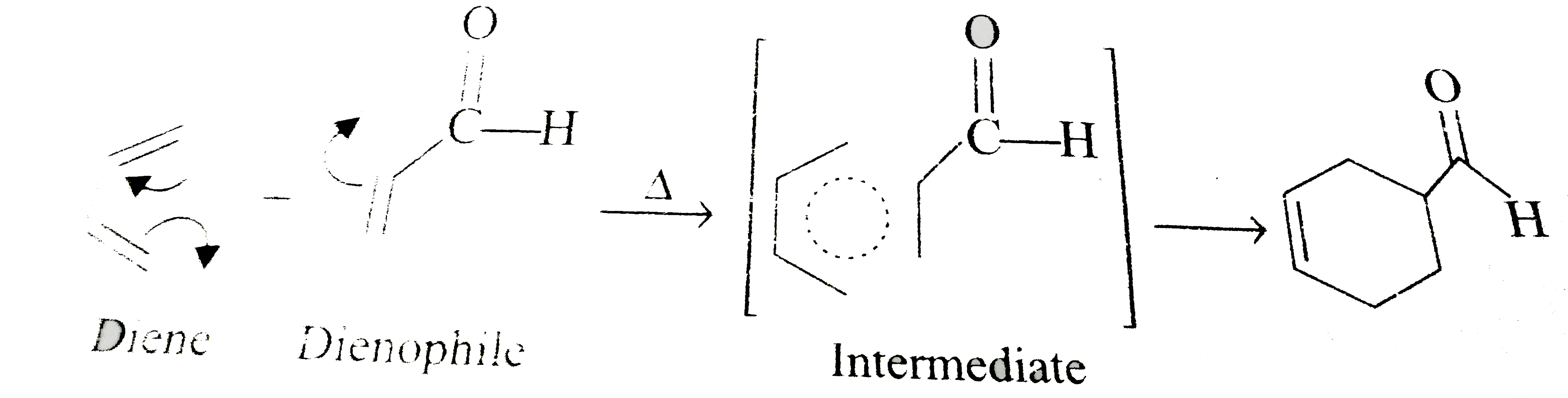 Conjugated Diene