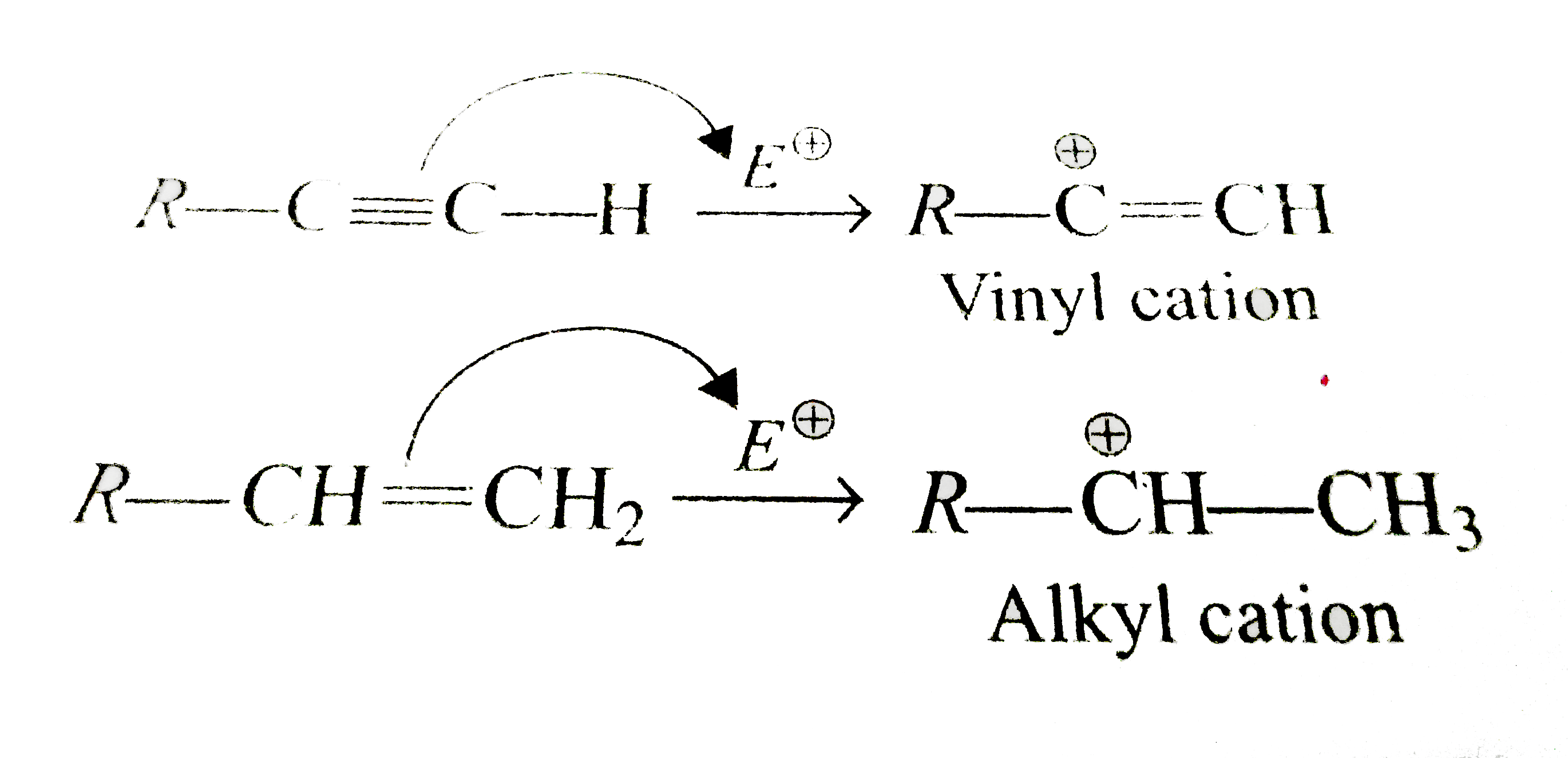 Alkene and alkyne both undergo electrophilic additon beacuise of pi  electron density, they behave as elctron rich species, alknens are more reactive toward this reaction because the intermiediate formed when anE^(oplus) adds to an alkyne is a vinylic cation wheras sthe intermediate formed when an E^(oplus) adds to akene is alkyl cation, which is mopre stable.