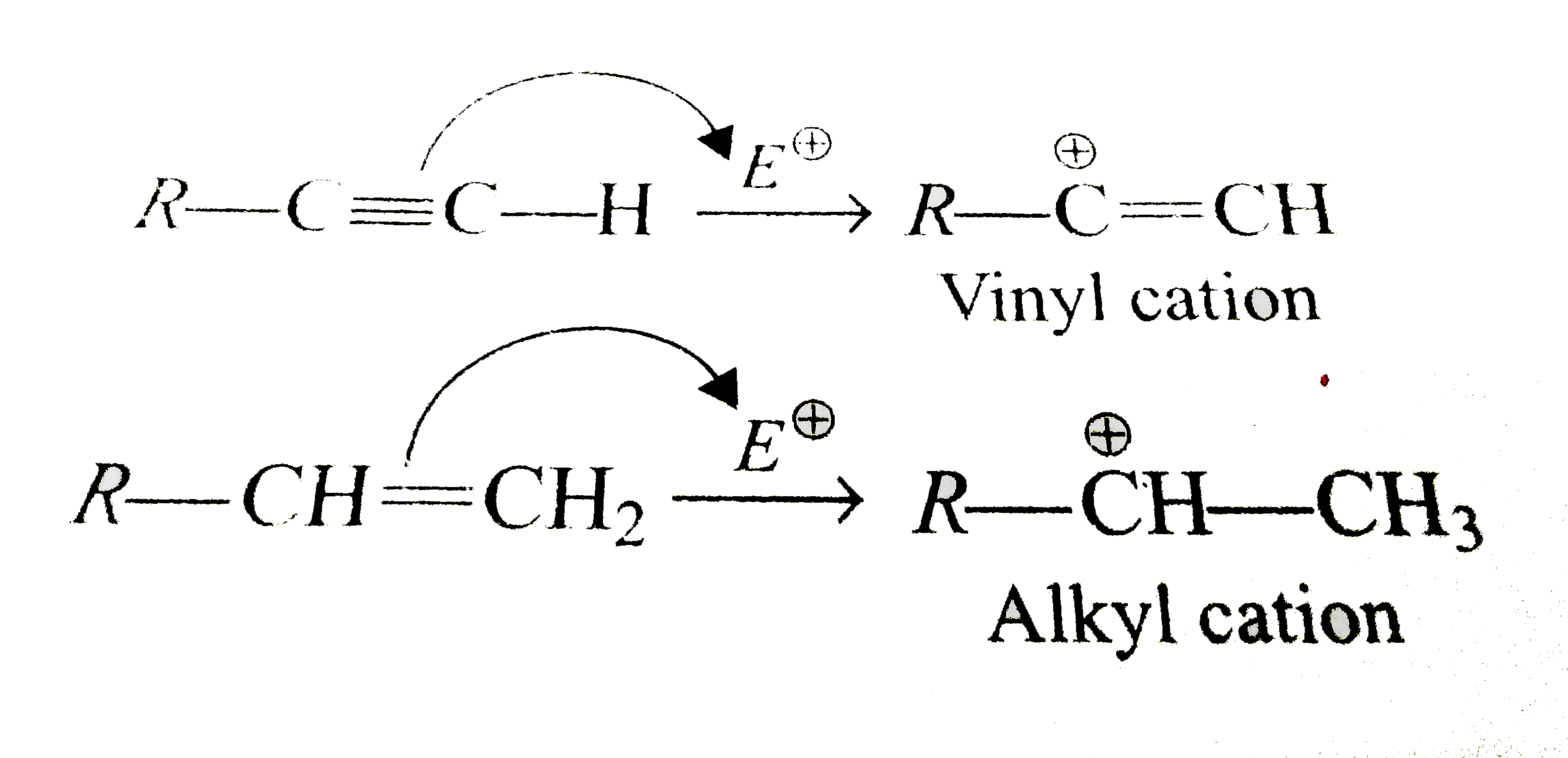 Alkene and alkyne both undergo electrophilic additon beacuise of pi  electron density, they behave as elctron rich species, alknens are more reactive toward this reaction because the intermiediate formed when anE^(oplus) adds to an alkyne is a vinylic cation wheras sthe intermediate formed when an E^(oplus) adds to akene is alkyl cation, which is mopre stable.    In the reaction: