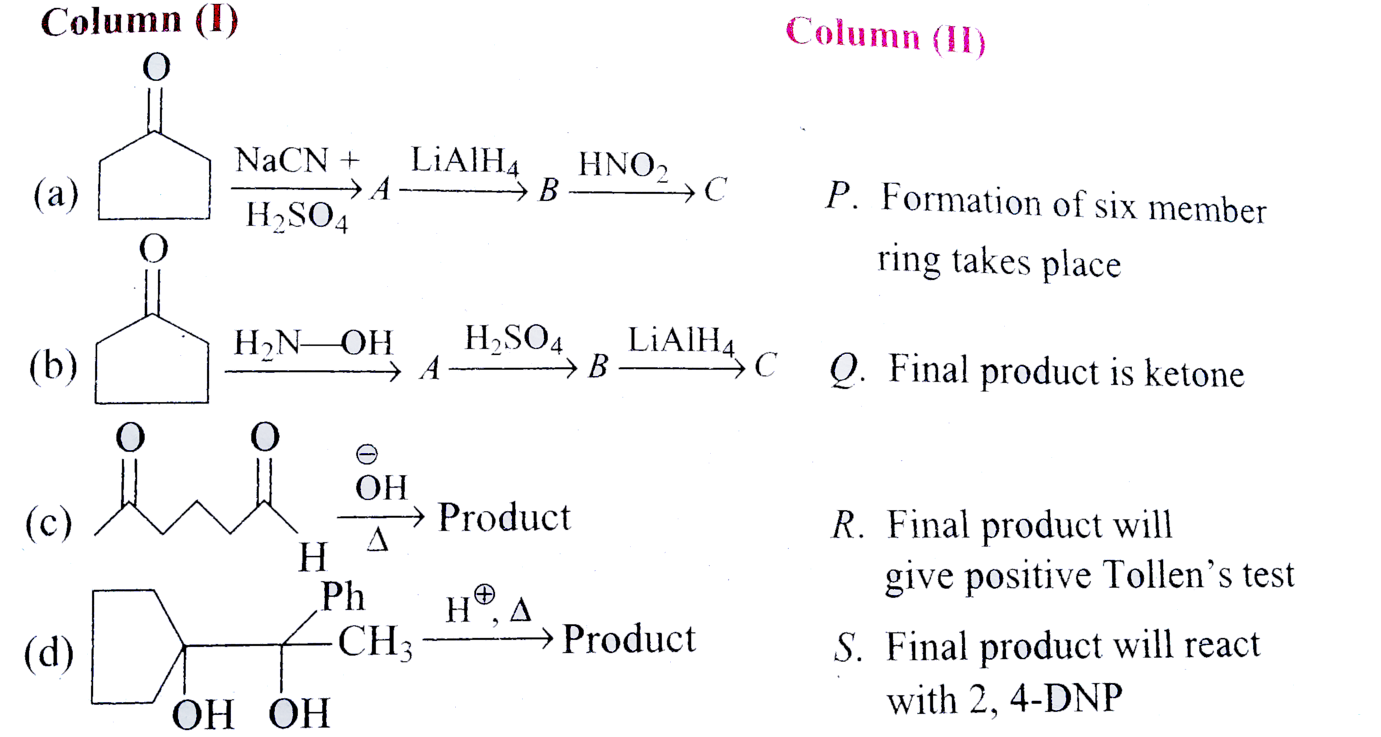 Match the following columns