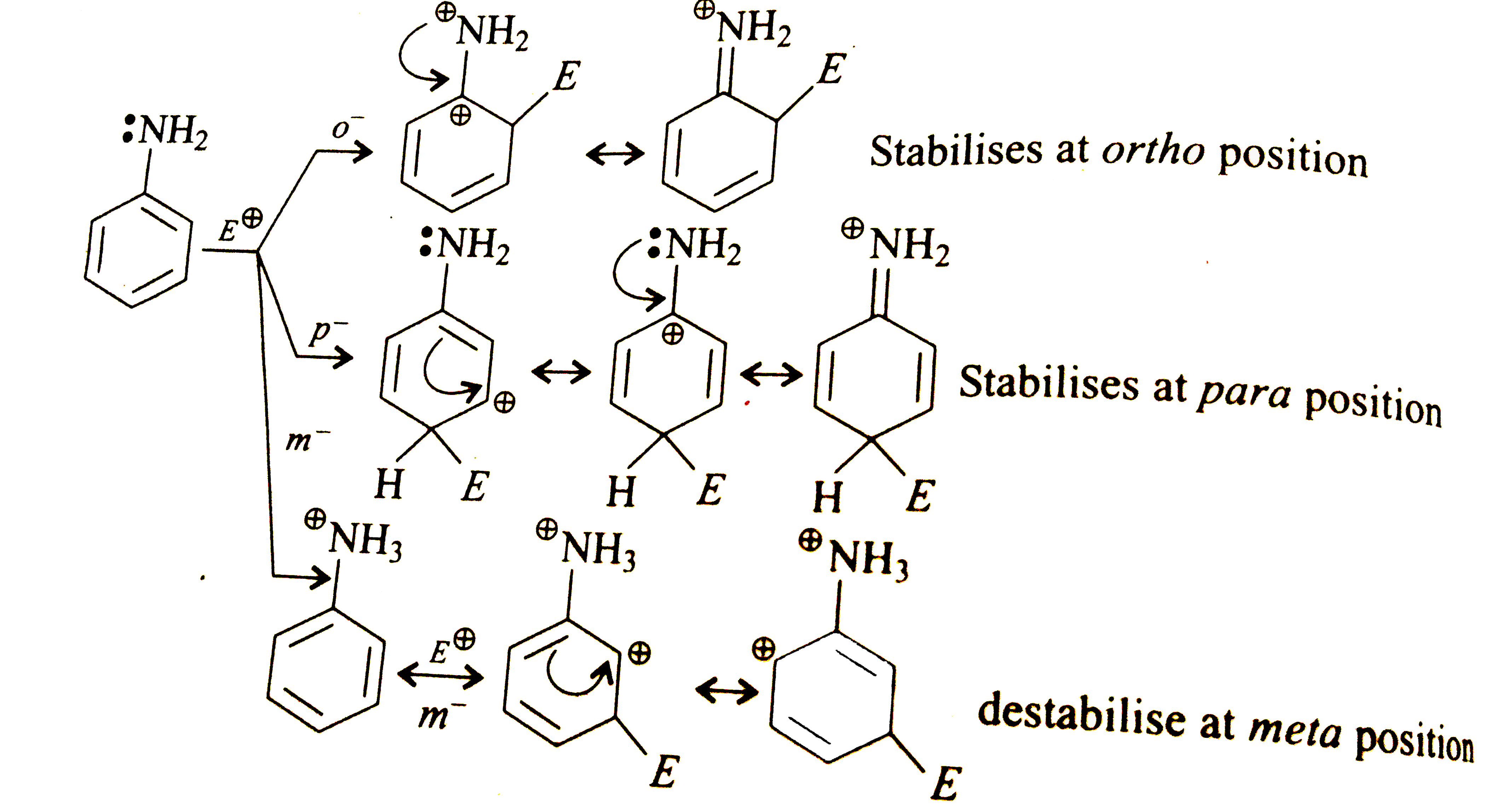 directing-nature-of-substituted-aromatic-compound-is-decided-by