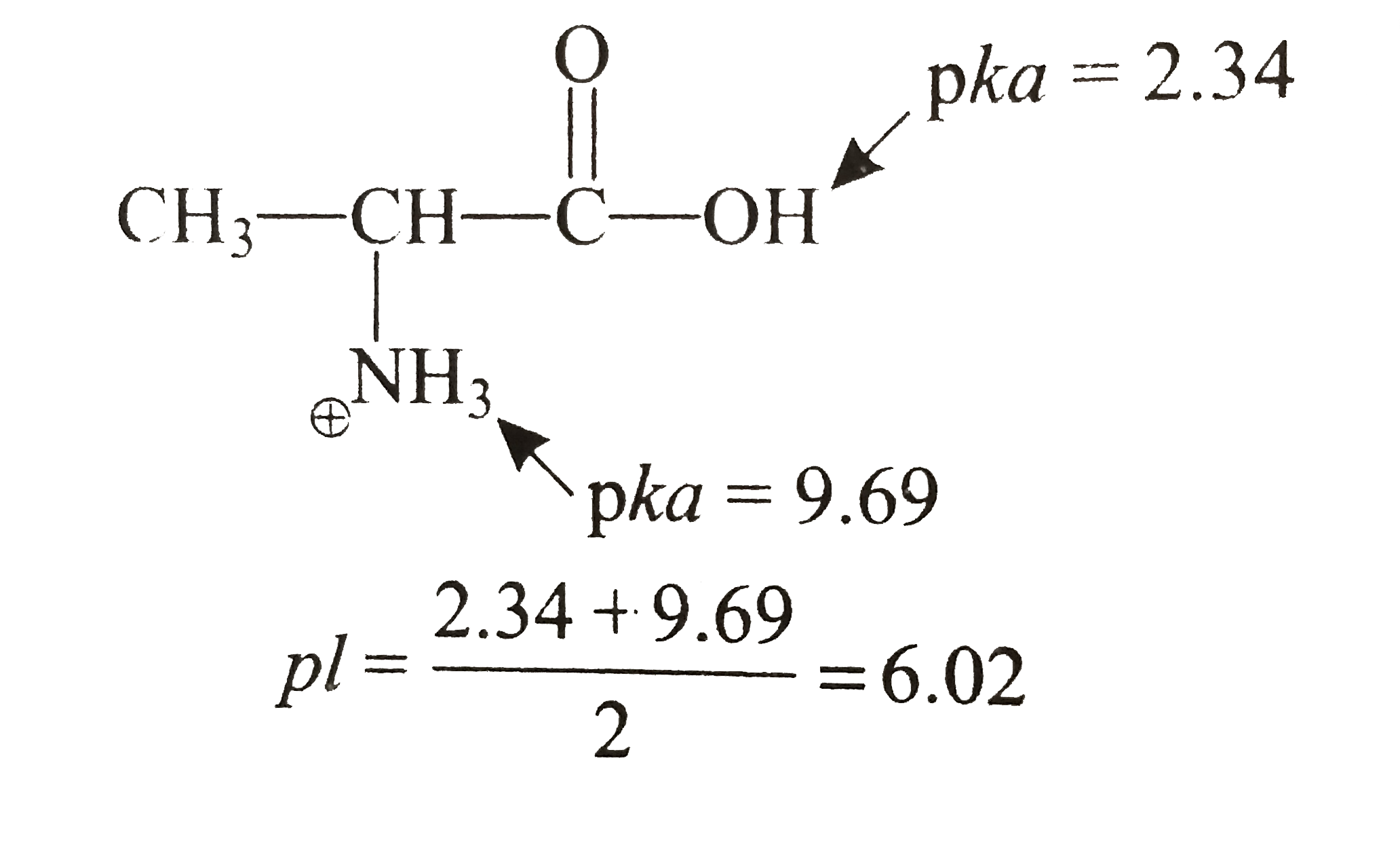 The isoelectric point(pl) of an amino acid is the pH of wihc it has no net charge. The pl of an amino acid that does not have an ionizable side chain such as alanine, is midway between its two pka values.       If an amino acid has ionizable side chain. its pl is the average of the pka values of  the similarly ionizing groups.   Find the pl of the following amino acids