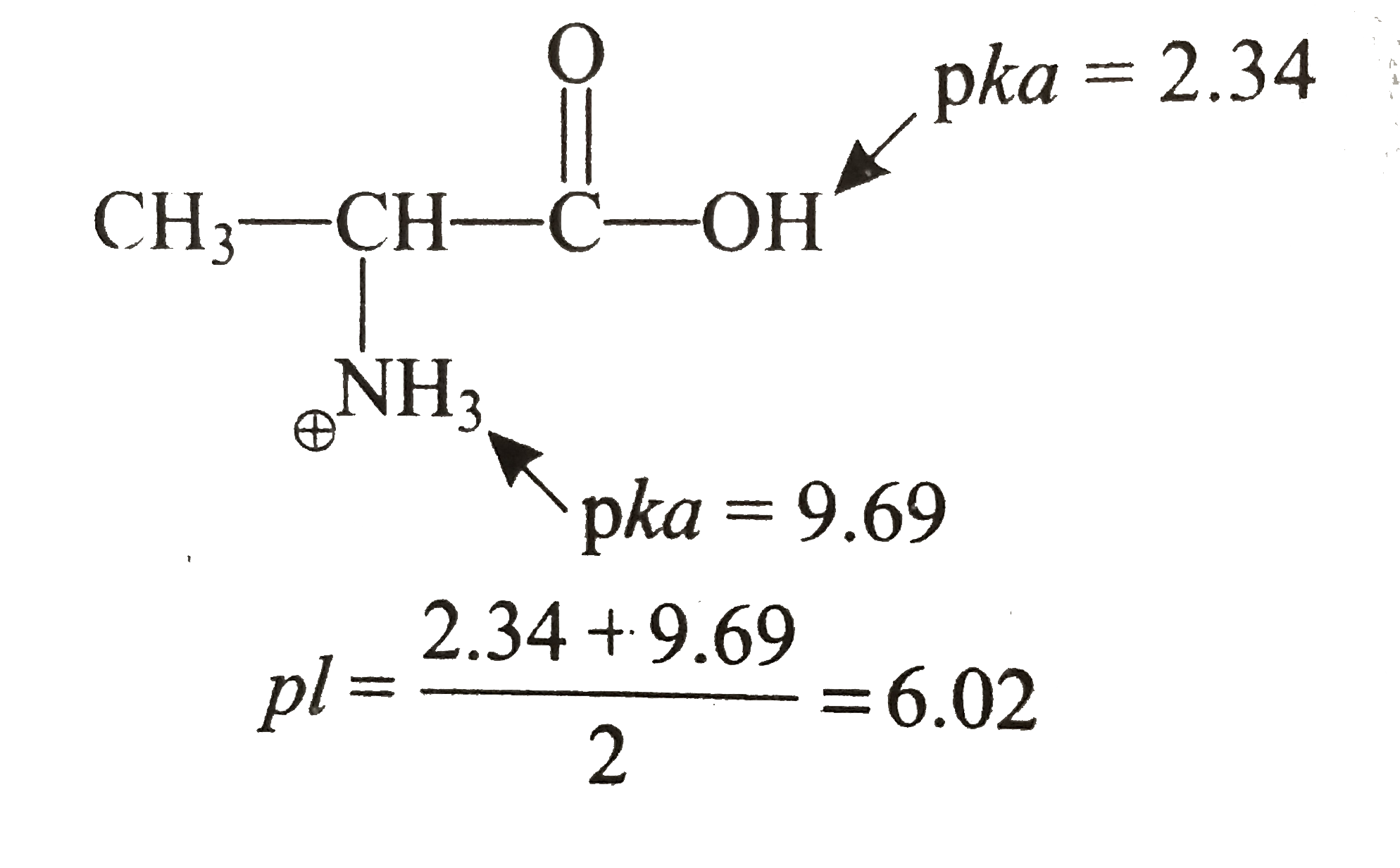 The isoelectric point(pl) of an amino acid is the pH of wihc it has no net charge. The pl of an amino acid that does not have an ionizable side chain such as alanine, is midway between its two pka values.       If an amino acid has ionizable side chain. its pl is the average of the pka values of  the similarly ionizing groups.   What is the pl of the following amino acids?