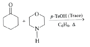 The major product formed in the reaction :