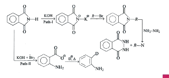 Passage-3      Which of the following amines cannot be prepared by path-I?