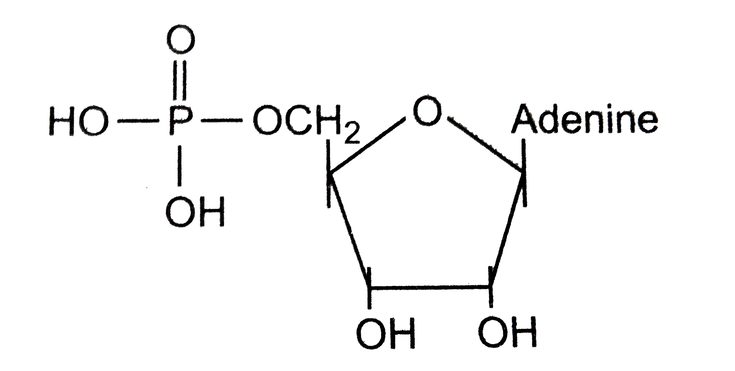 The given organic compound is a diagrammatic representation of :