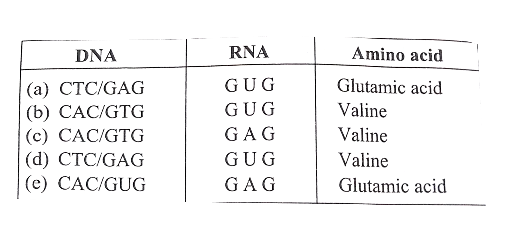 Select the correct bases of DNA, RNA and amino acid of beta chain resulting in sickle-cell anaemia :