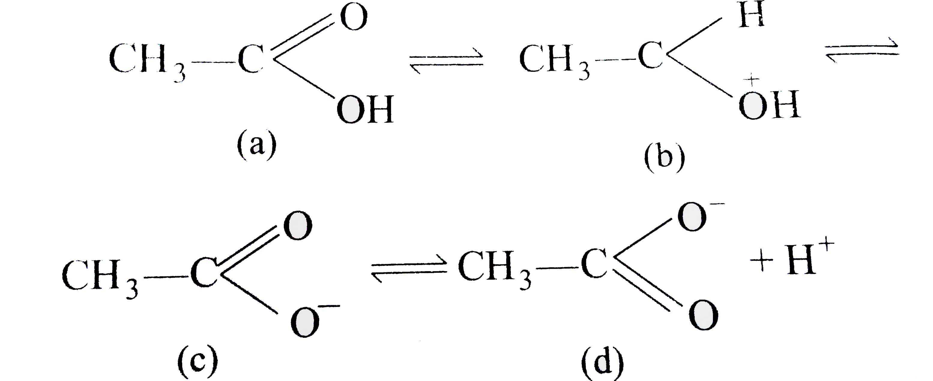 Which of the following structures have resonance stability?