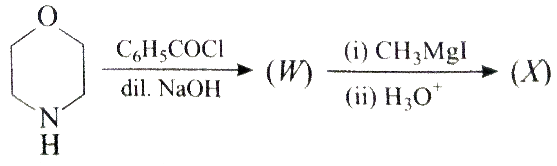The major product (X) formed in the reaction sequence is  :
