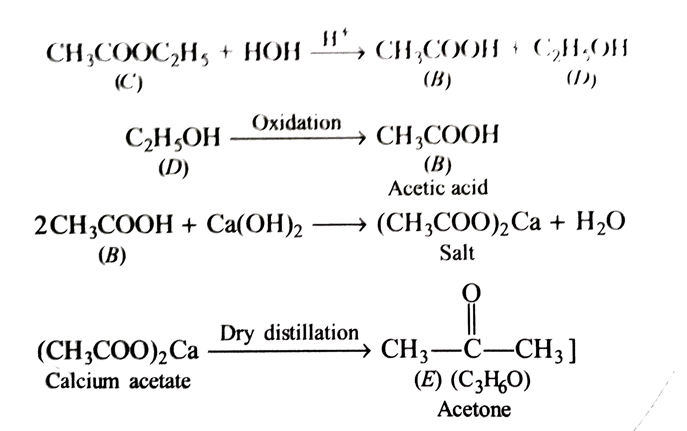 An Organic Compound A Reacts With Ethanol To Give B And C O