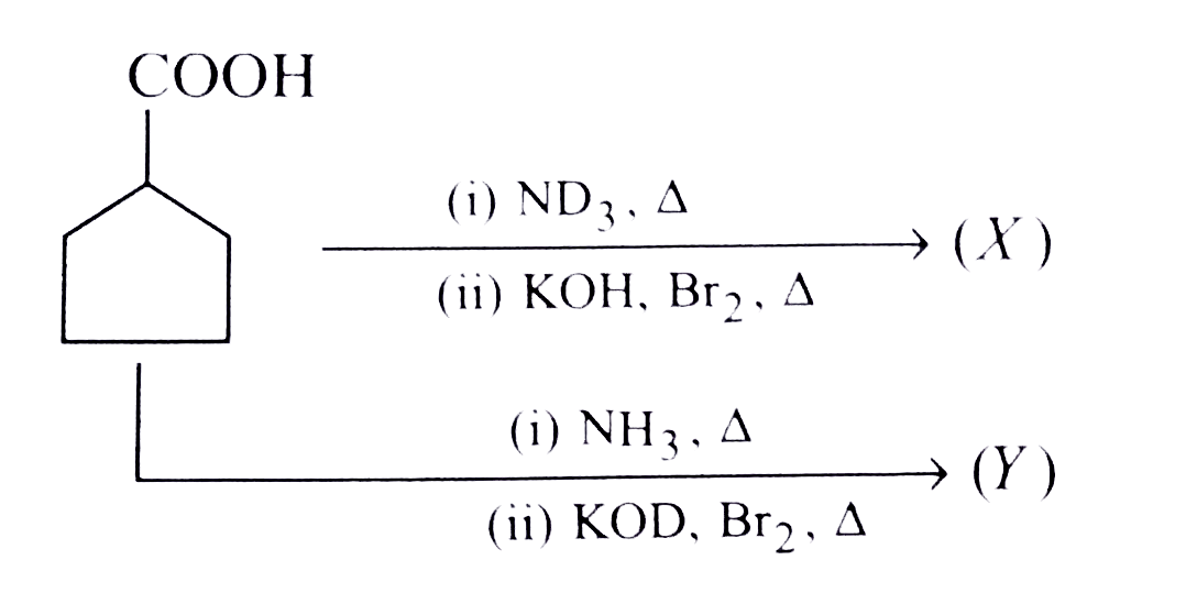 What are (X) and (Y) in the following reaction? Give the mechanism of formation of (X) and (Y).