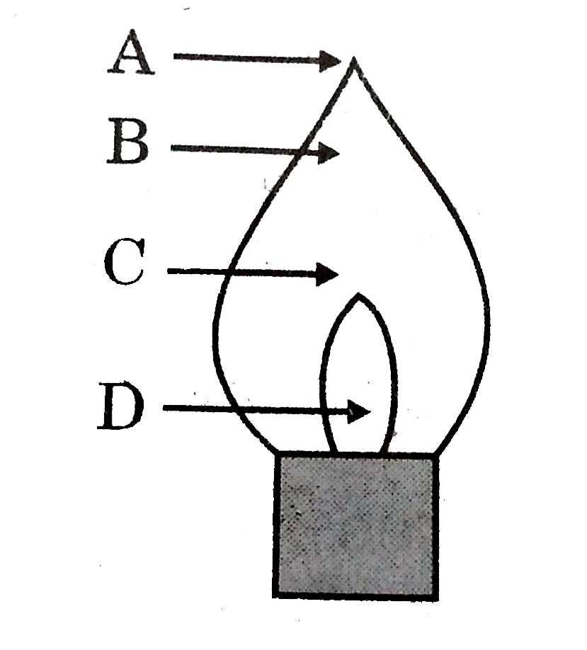 Which letter in the diagram depicts the hottest portion of a Bunsen burner flame?