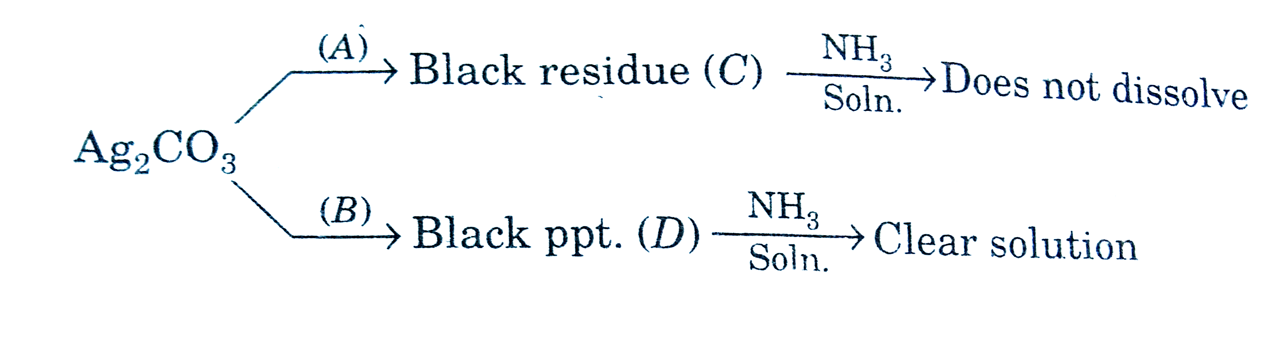 A and B are: