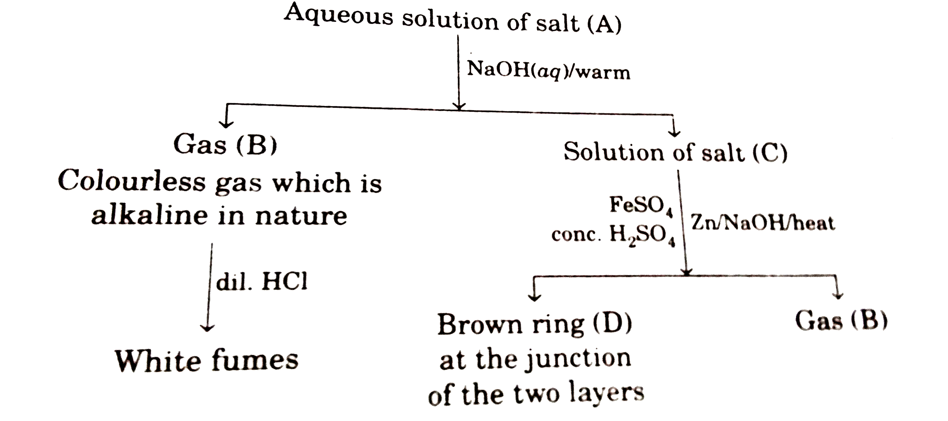 Salt (A) on heating gives a colourless neutral gas which supports combustion. From the aforesaid, flow diagram, answer the following questions.    Which of the following statement is correct?