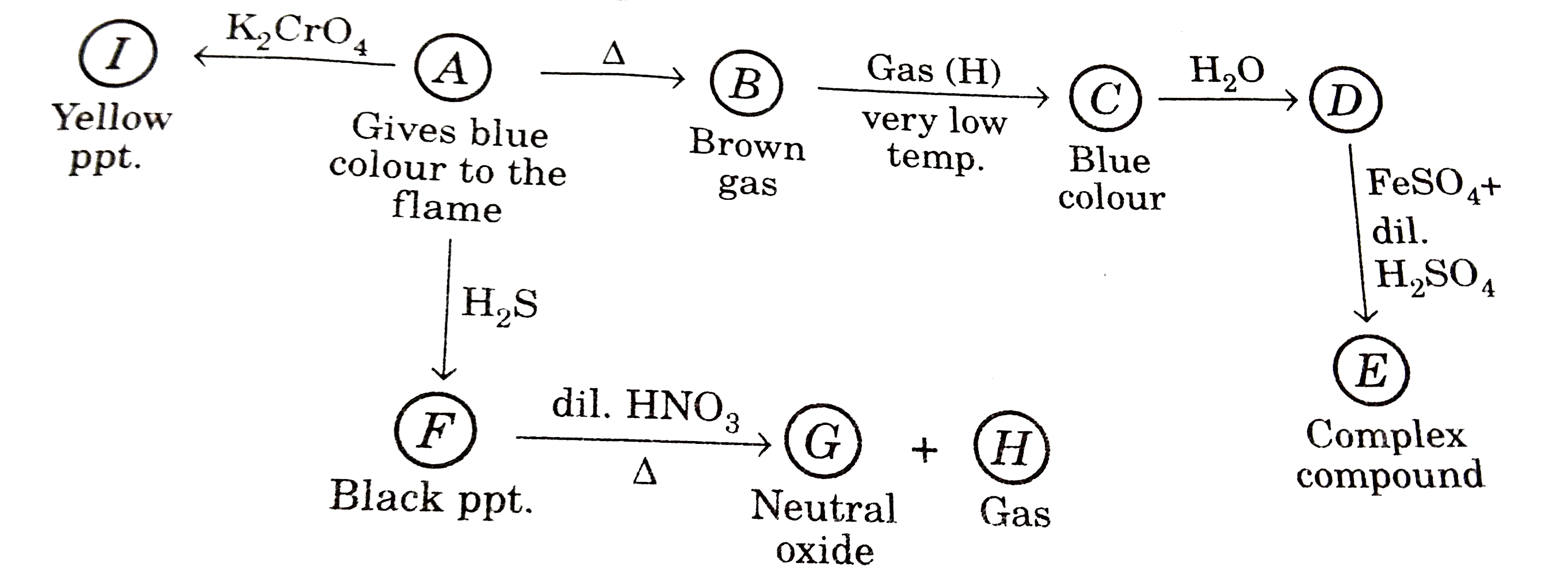 Type pf hybridization of complex (E):