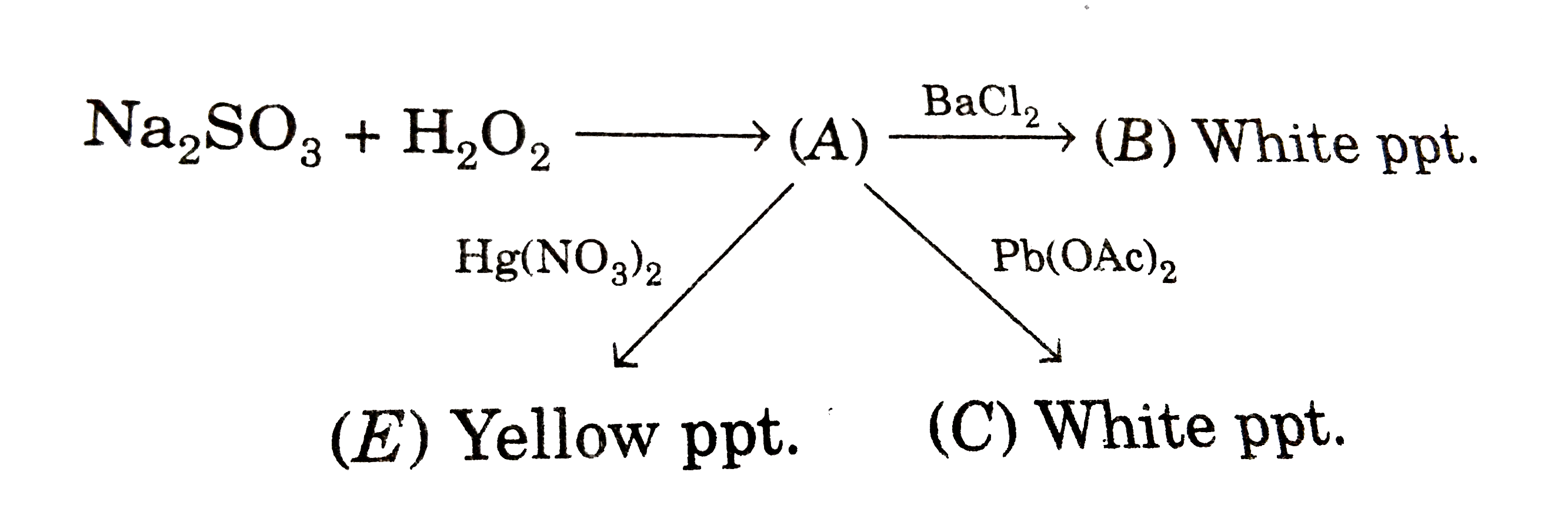 What is the shape of anionic part of (C)?