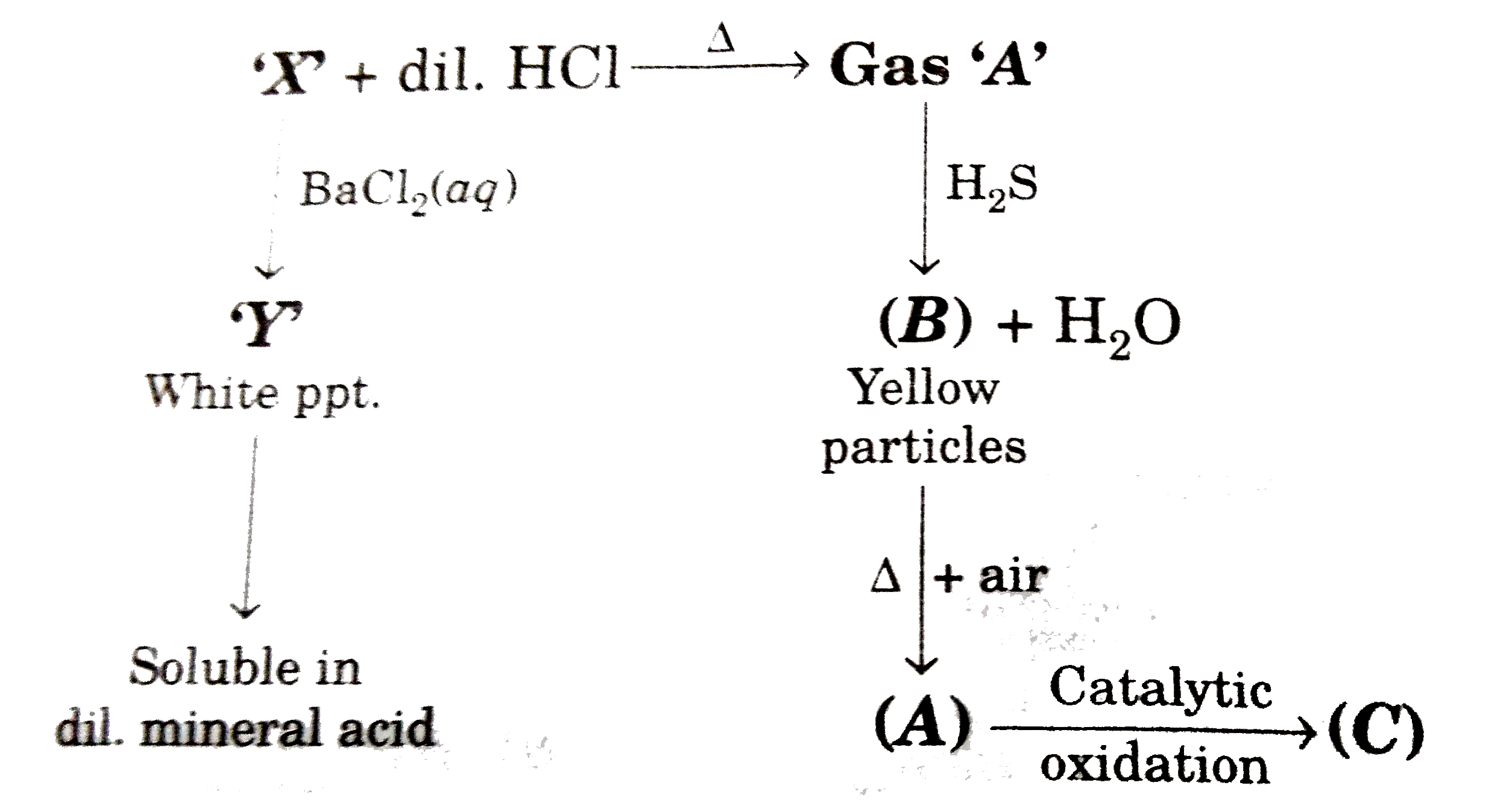 Find the sum of number of p pi - p pi and p pi - d pi bonds in trimer of C.