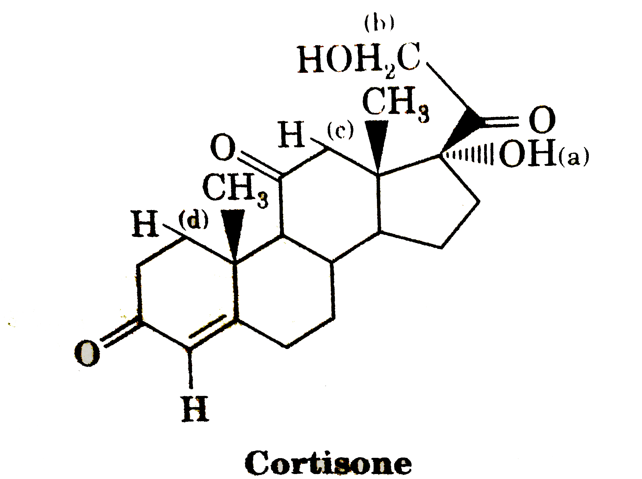 Total stereoisomer of the compound Cortisone is :