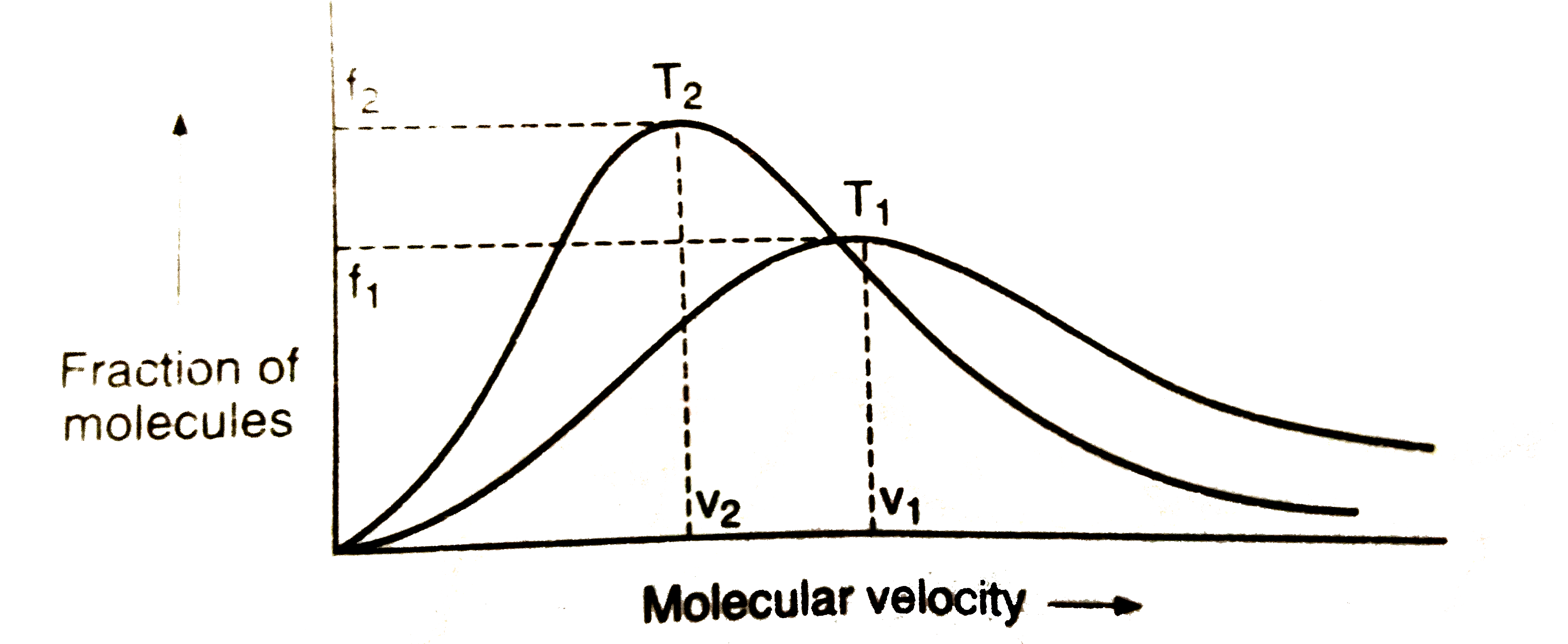 Plot of Maxwell's distribution of velocities is given below:      which of following is correct ?