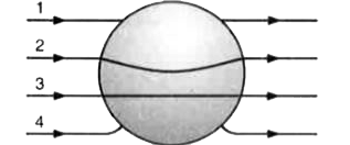एक धातु के गोले को एक एकसमान वैद्युत क्षेत्र में रखा जाता है। वैद्युत रेखाएँ कौन-सा पश्च अपनाती हैं [चित्र 2.53]?
