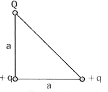 तीन  आवेश Q,+q और +q एक समकोण  समद्विबाहु  त्रिभुज  के कोनों पर चित्र I.15 में दिखाए  अनुसार  रखे  जाते है।  समूह  कि नेट  स्थिरवैधुत ऊर्जा  शून्य  होगी आवेश Q , इनके  बराबर हो